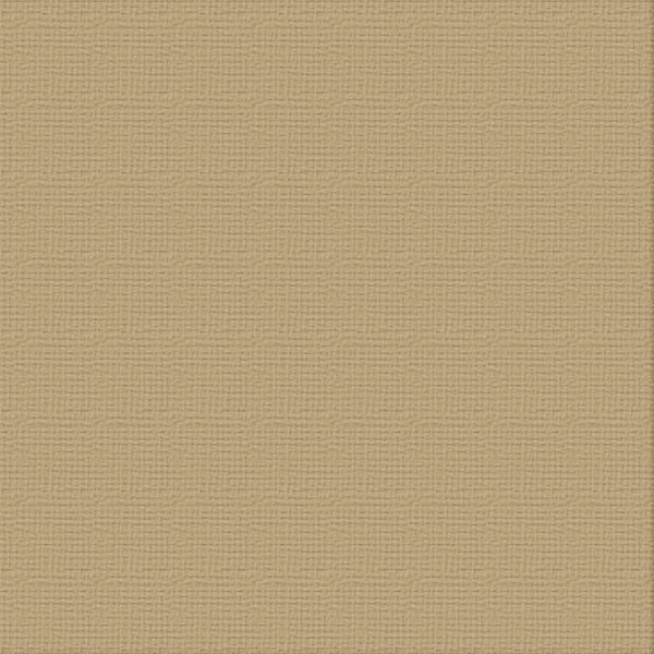 Couture Creations Paper Bag kartong 12x12 216gsm 10 ark