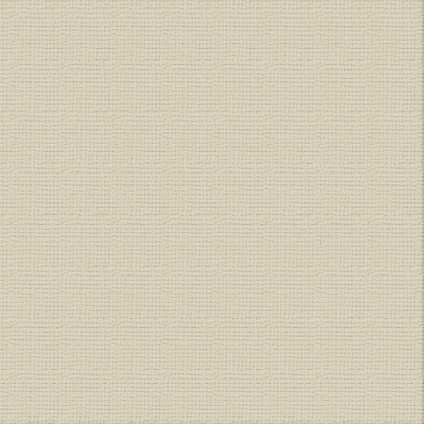 Couture Creations Delicate Medlar strukturkartong 12x12 10 ark
