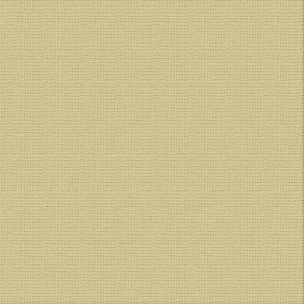 Couture Creations Driftwood kartong 12x12 10 ark brun