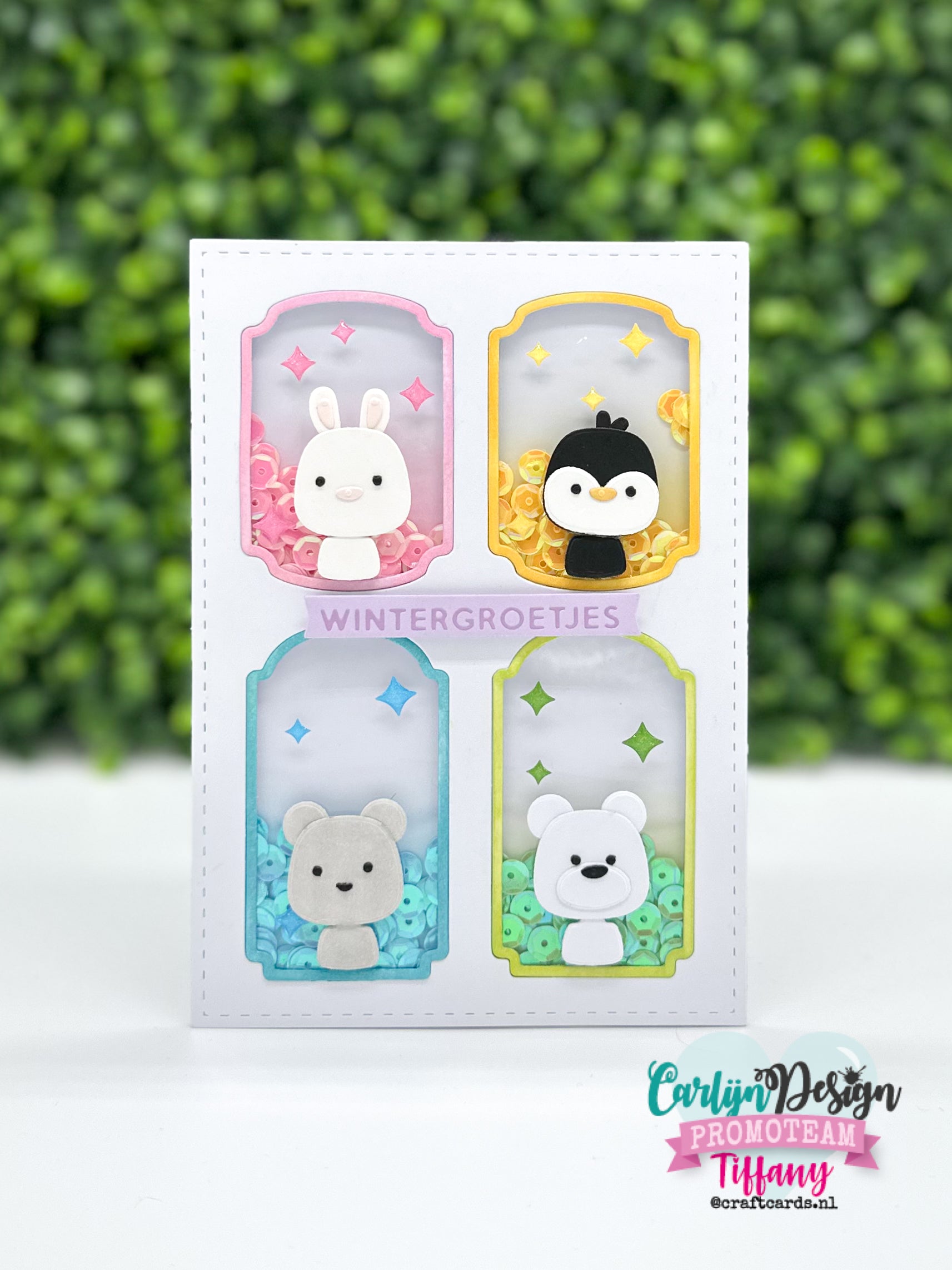 CarlijnDesign Confetti Pals minis dies- og stempelsett CDJD-0095