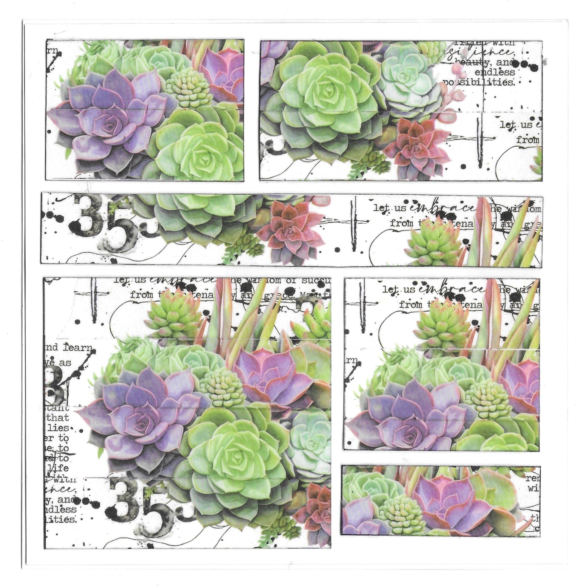 Aall and Create MT-70 Thriving Terrarium washi tape 20mm terrarium
