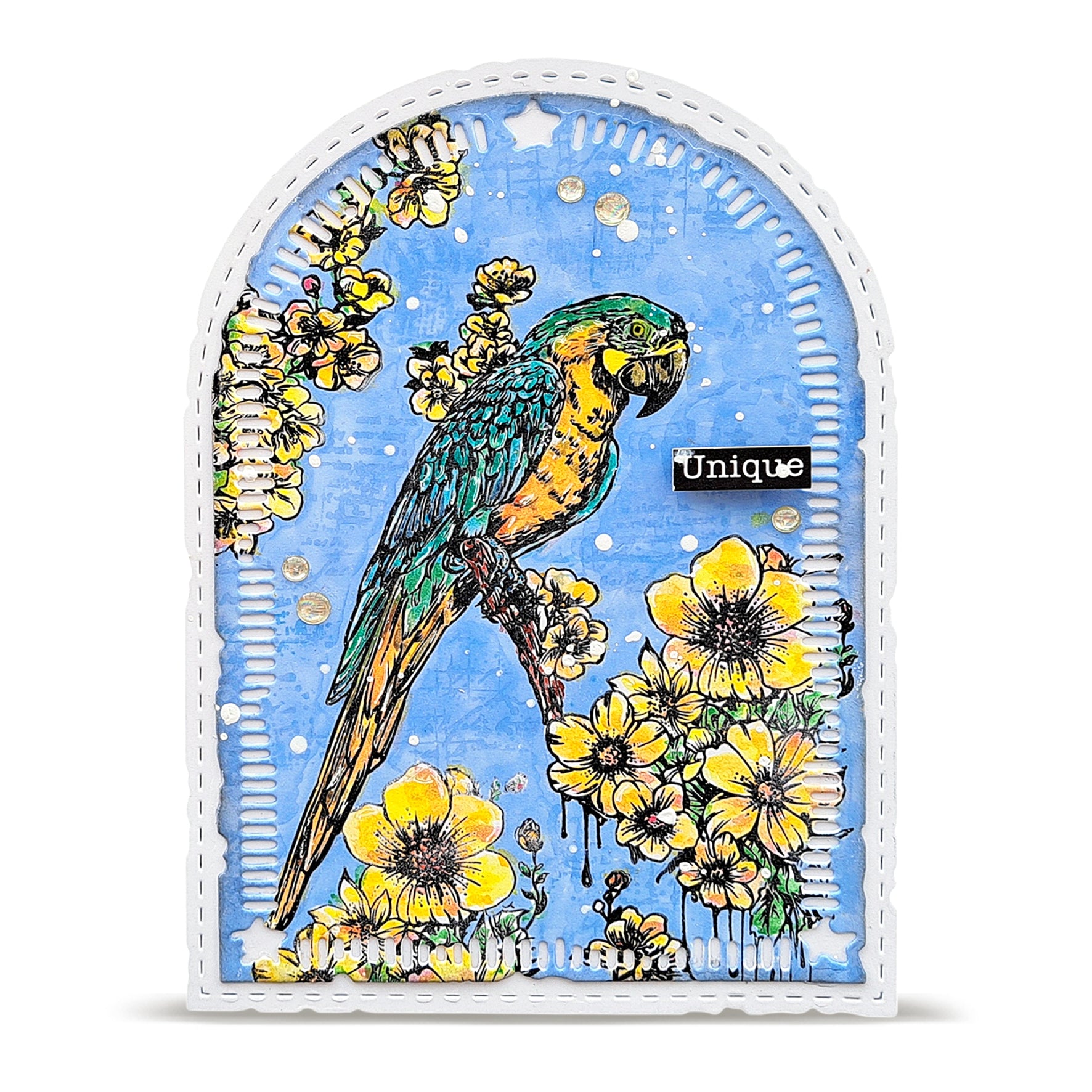 AALL & Create TP-1348 Parrot Song stempelsett A6 papegøye