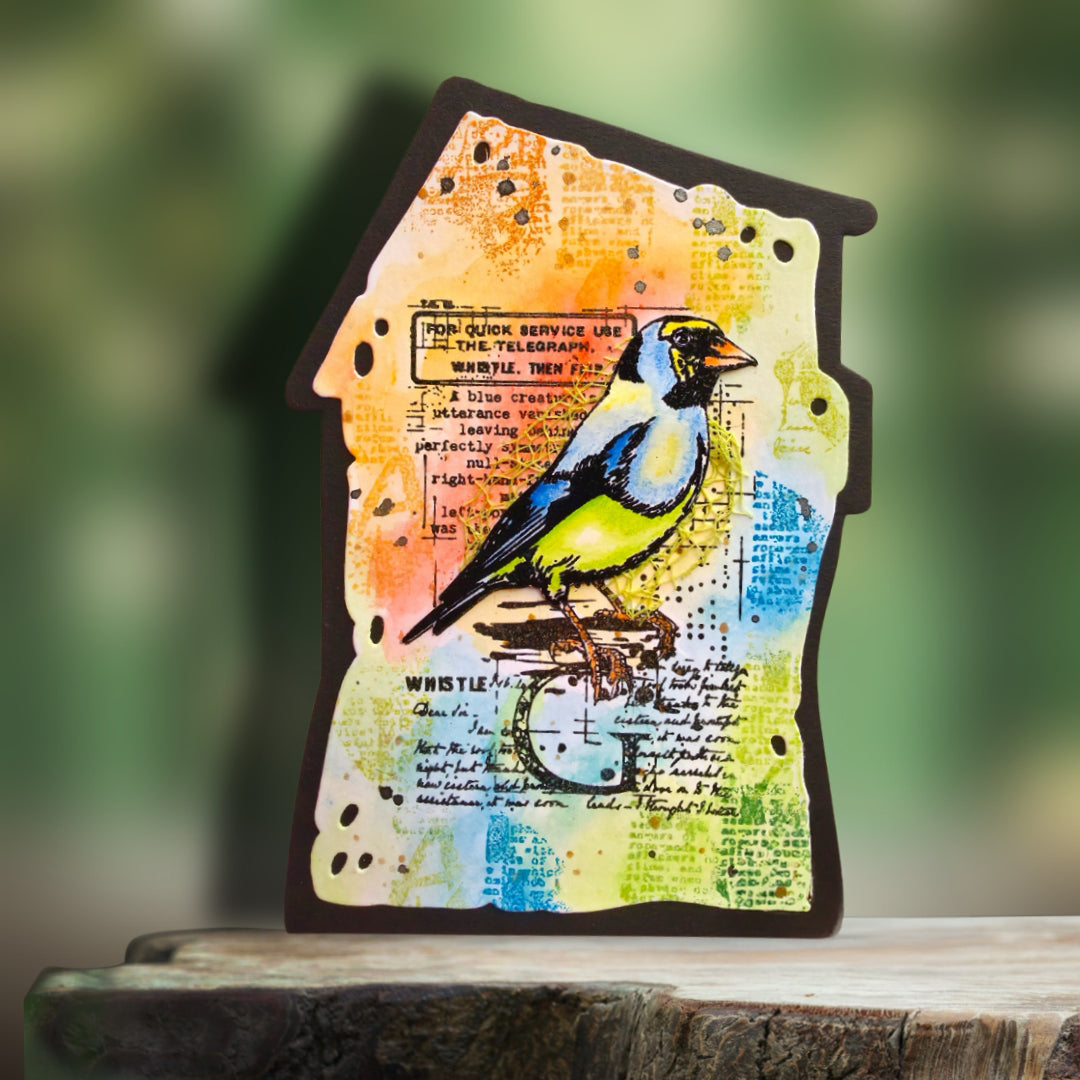 AALL & Create TP-1350 Whistling Finch stempelsett A7 fugl