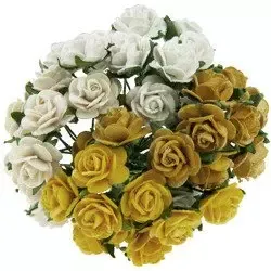 Korthobby Mulberry Open Roses papirroser fersken
