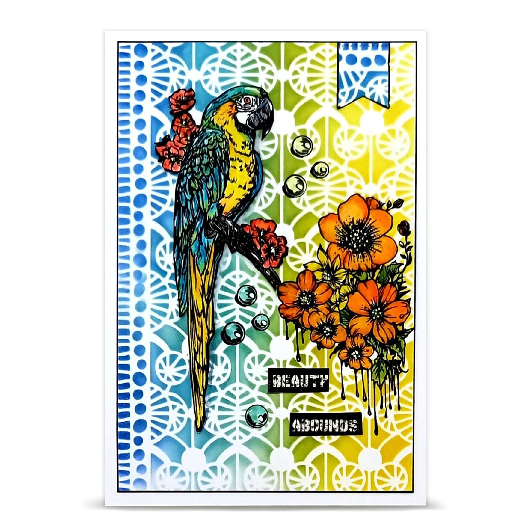 AALL & Create TP-1348 Parrot Song stempelsett A6 papegøye