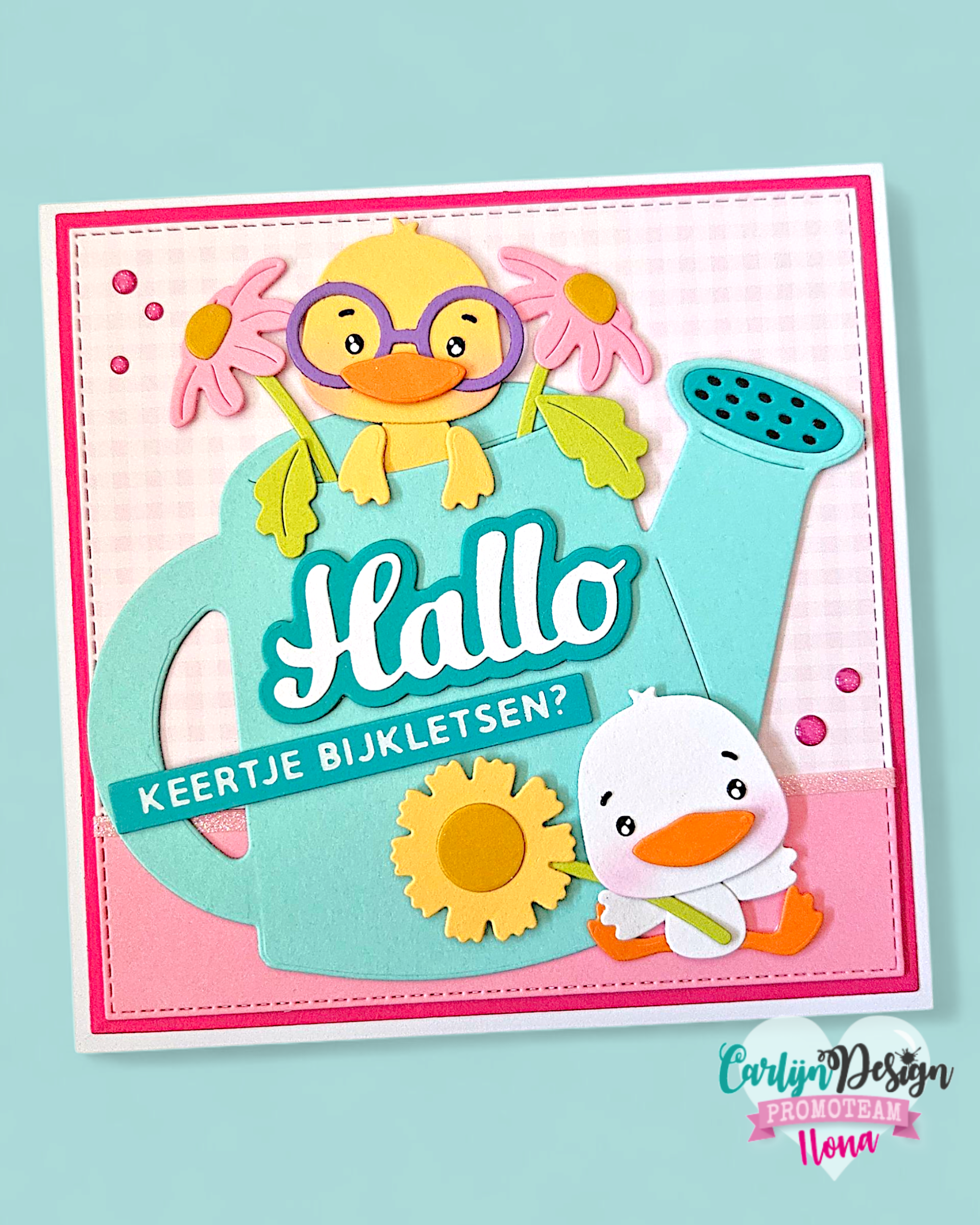 CarlijnDesign Hallo hallo CDSN-0320 diesett hei-ord 5 cm