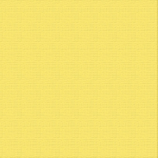 Couture Creations Textured kartong Raincoat 12x12 10 ark 216 gsm