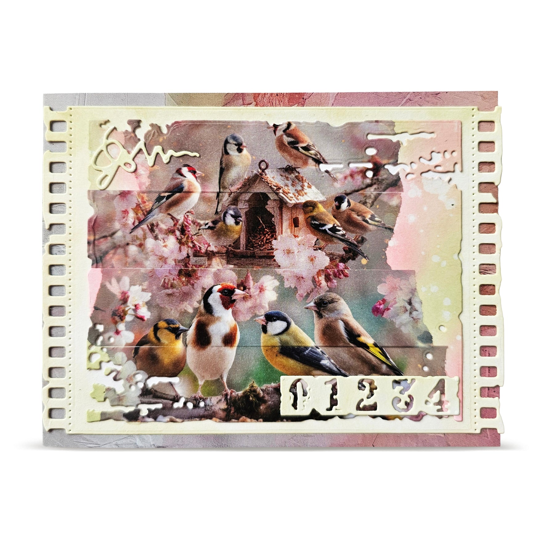 AALL & Create Layer-It-Up MT-154 Bird Feast washi tape 25mm