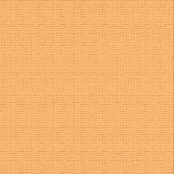 Couture Creations Temptress kartong 12x12 10 ark teksturert