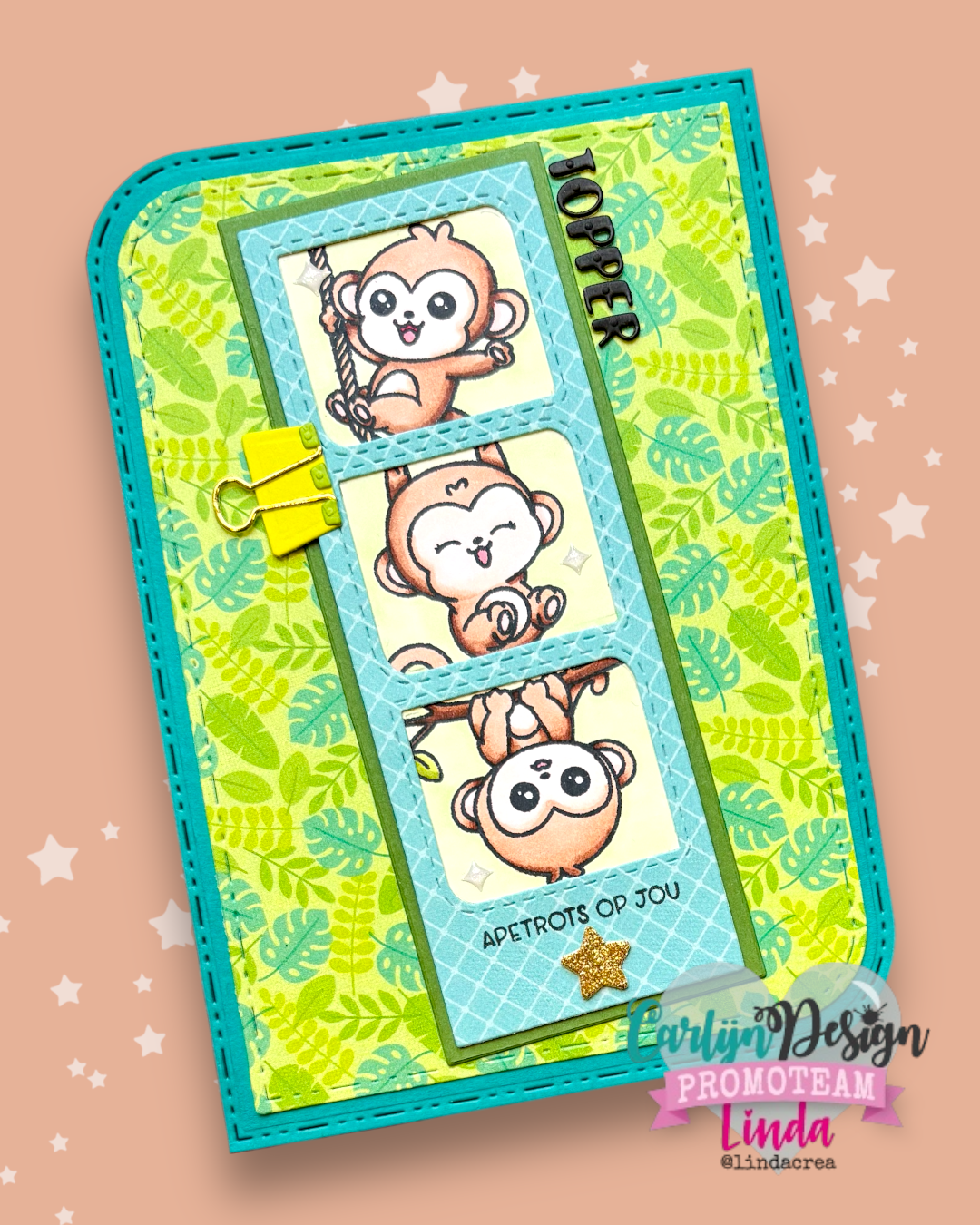 CarlijnDesign CDSN-0357 diesett polaroid strip 5x13