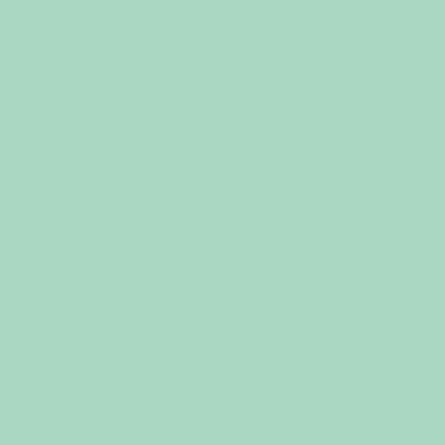 KaiserCraft Weave Peppermint cardstock 12x12 20 ark 220 g