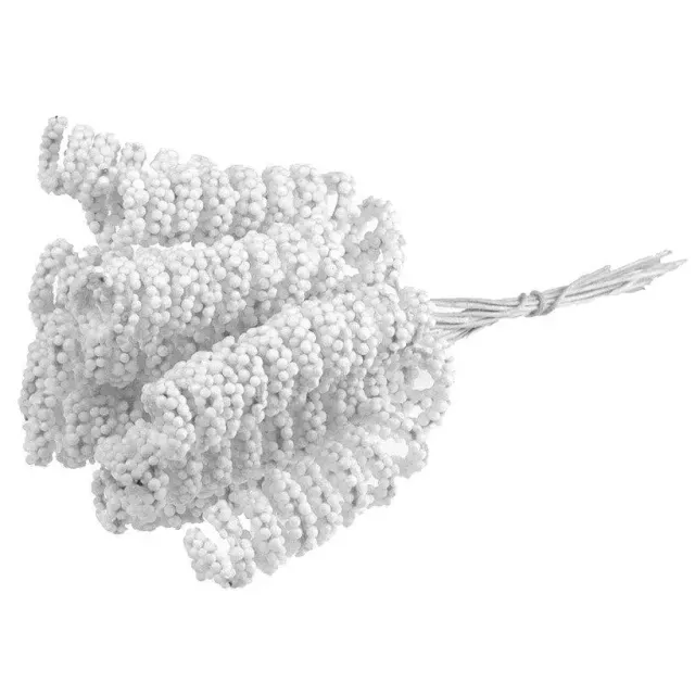 Korthobby White Spiral Stamens støvbærere hvit