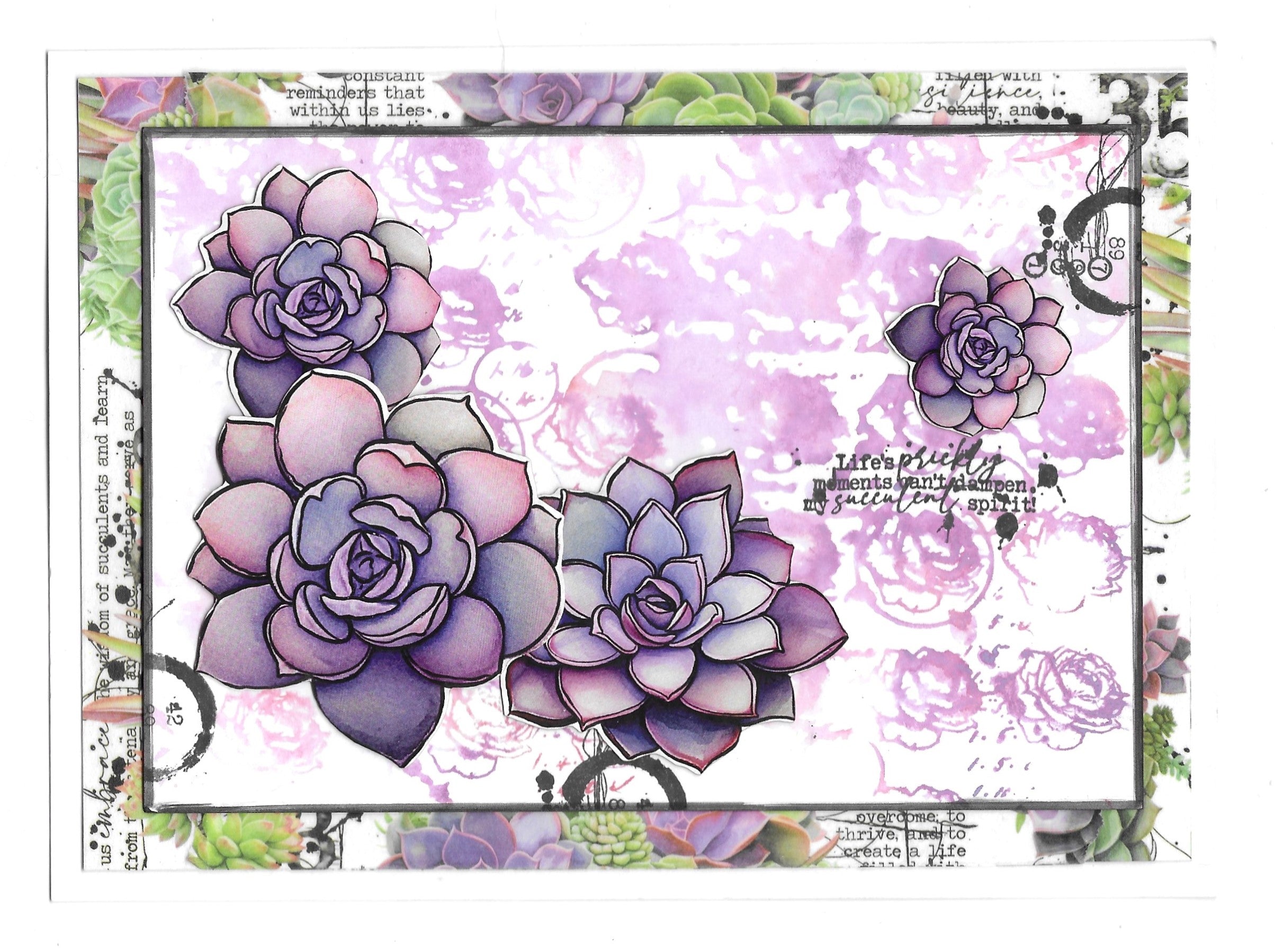 Aall and Create MT-70 Thriving Terrarium washi tape 20mm terrarium