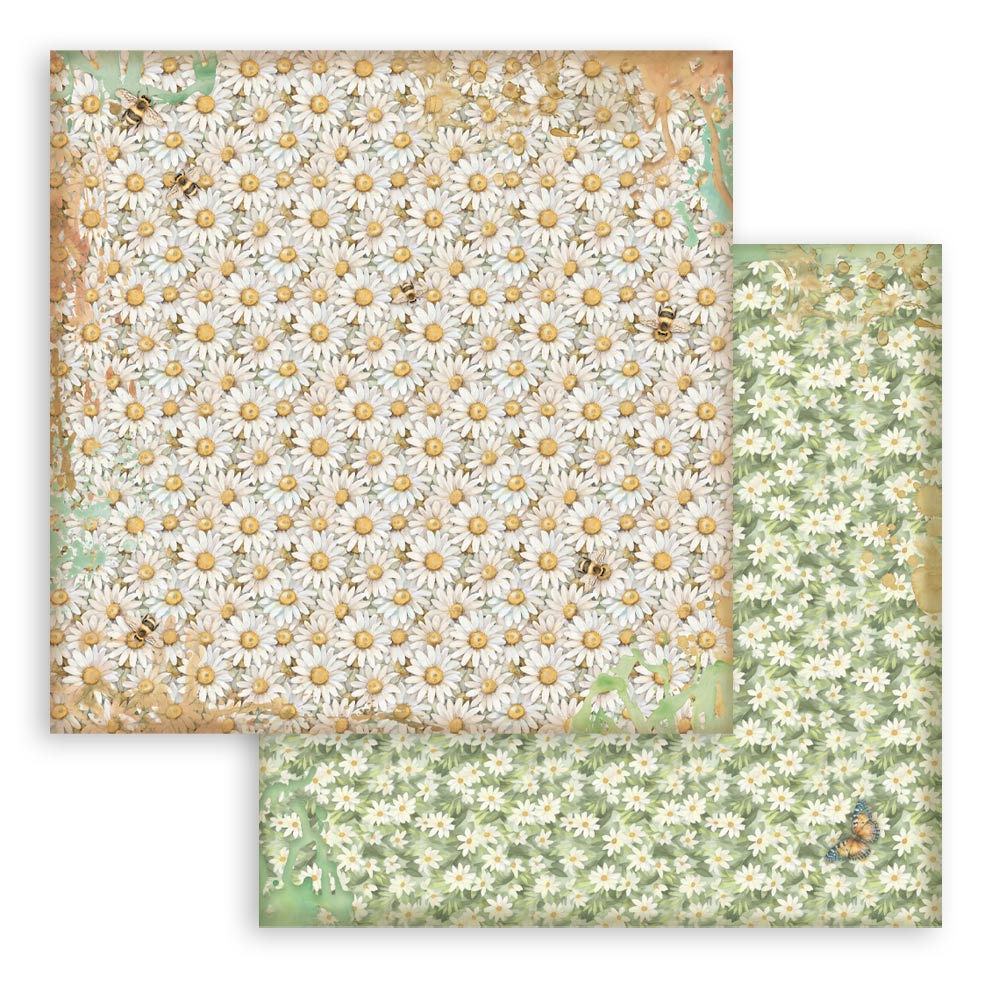 Stamperia Daisy Art mønsterpapir 12x12 bakgrunnspakke