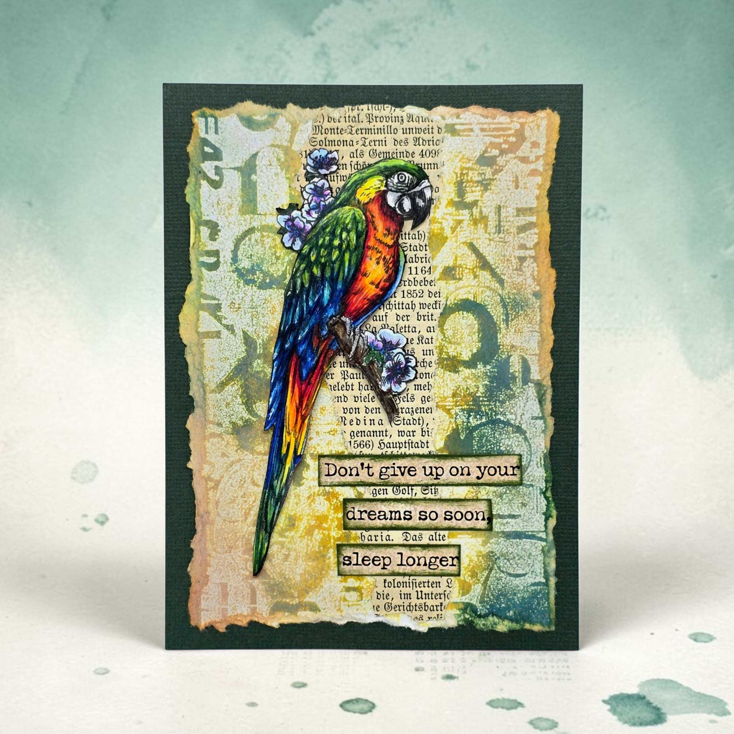 AALL & Create TP-1348 Parrot Song stempelsett A6 papegøye