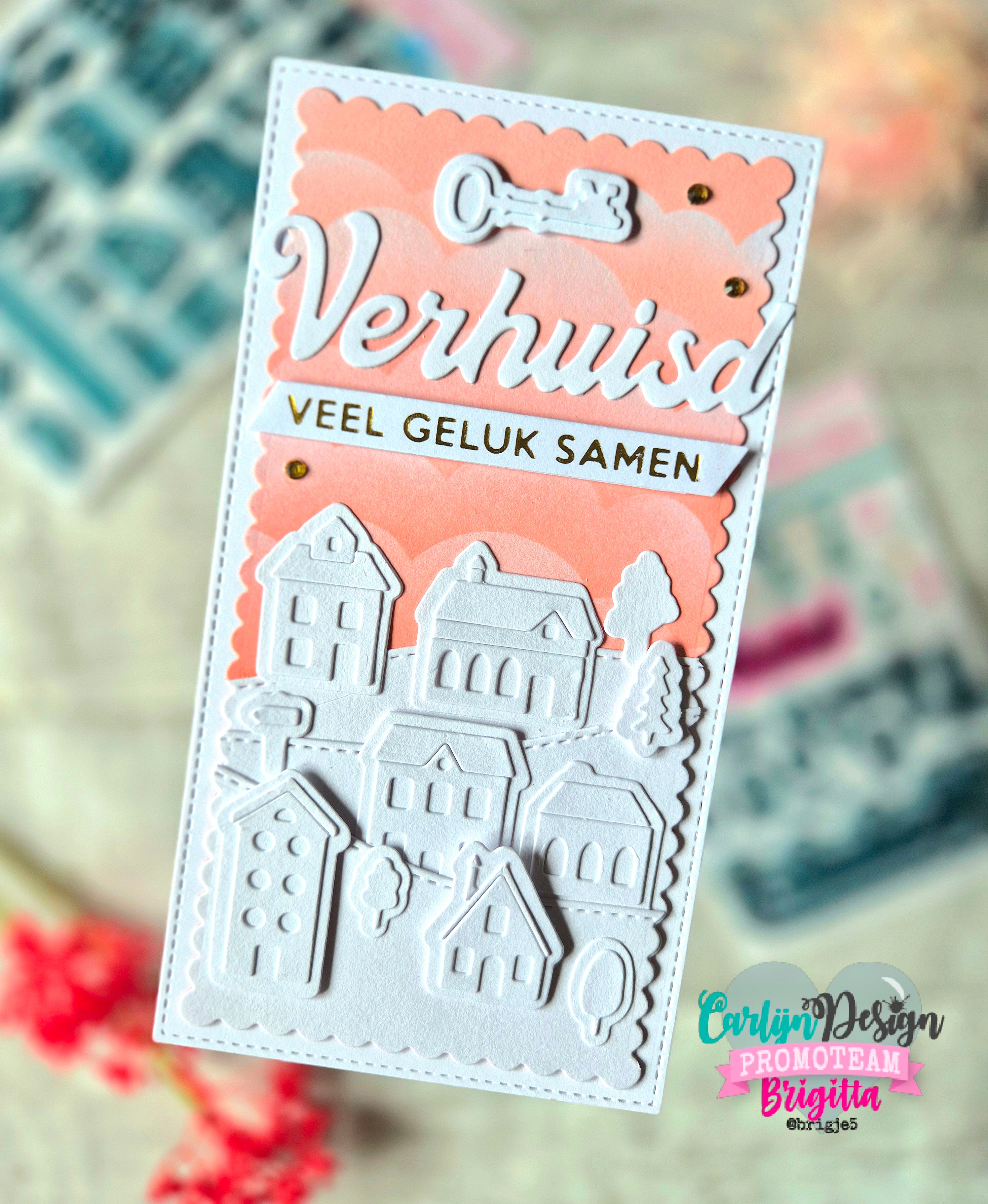 CarlijnDesign Verhuisd 2 CDSN-0299 dies flytting 1-3 cm