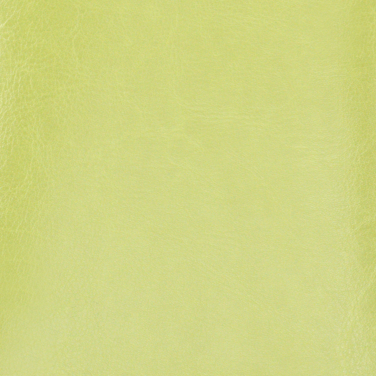 Couture Creations 3D Ring album Kiwi Green 12x12 kunstlær