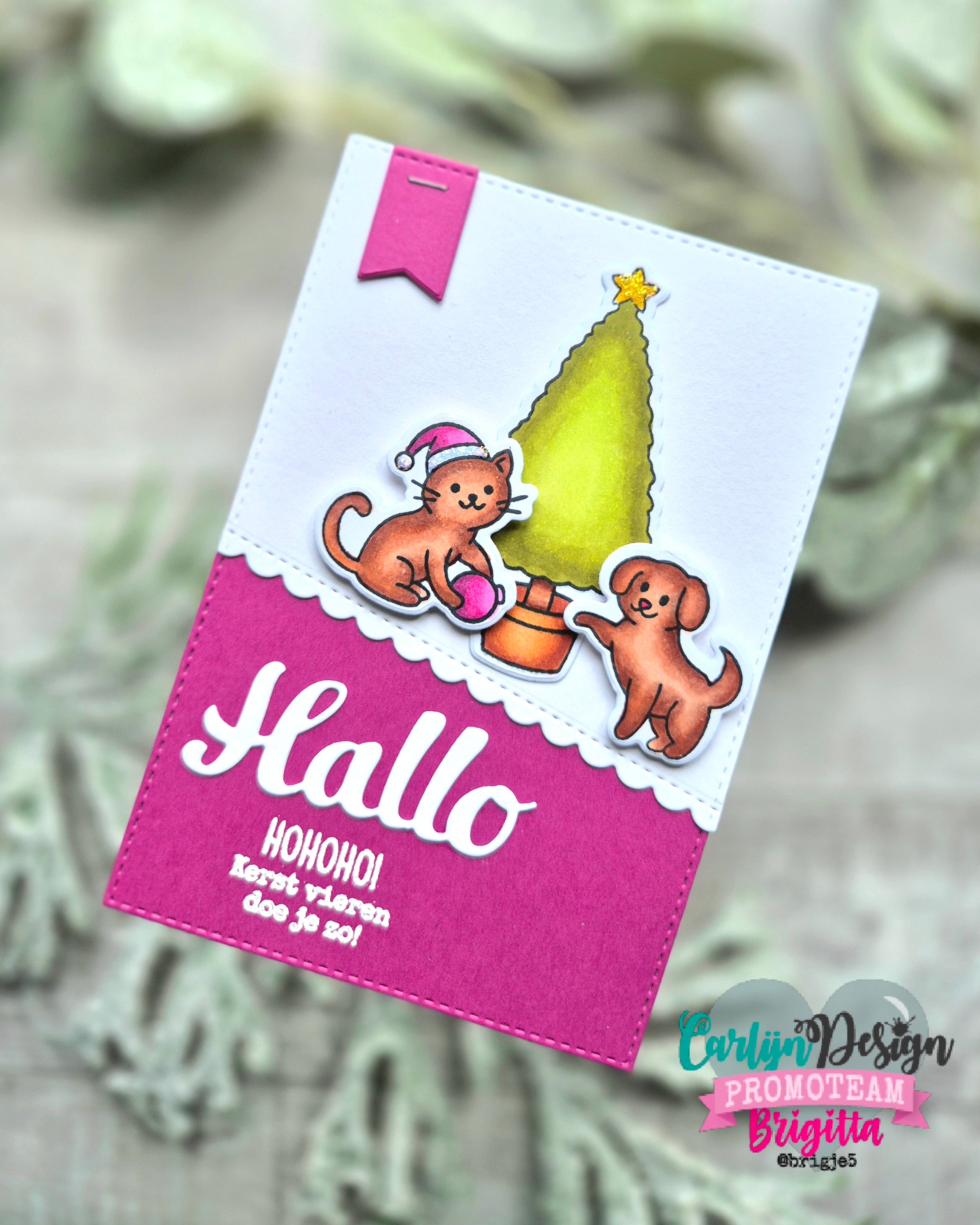 CarlijnDesign Hallo hallo CDSN-0320 diesett hei-ord 5 cm