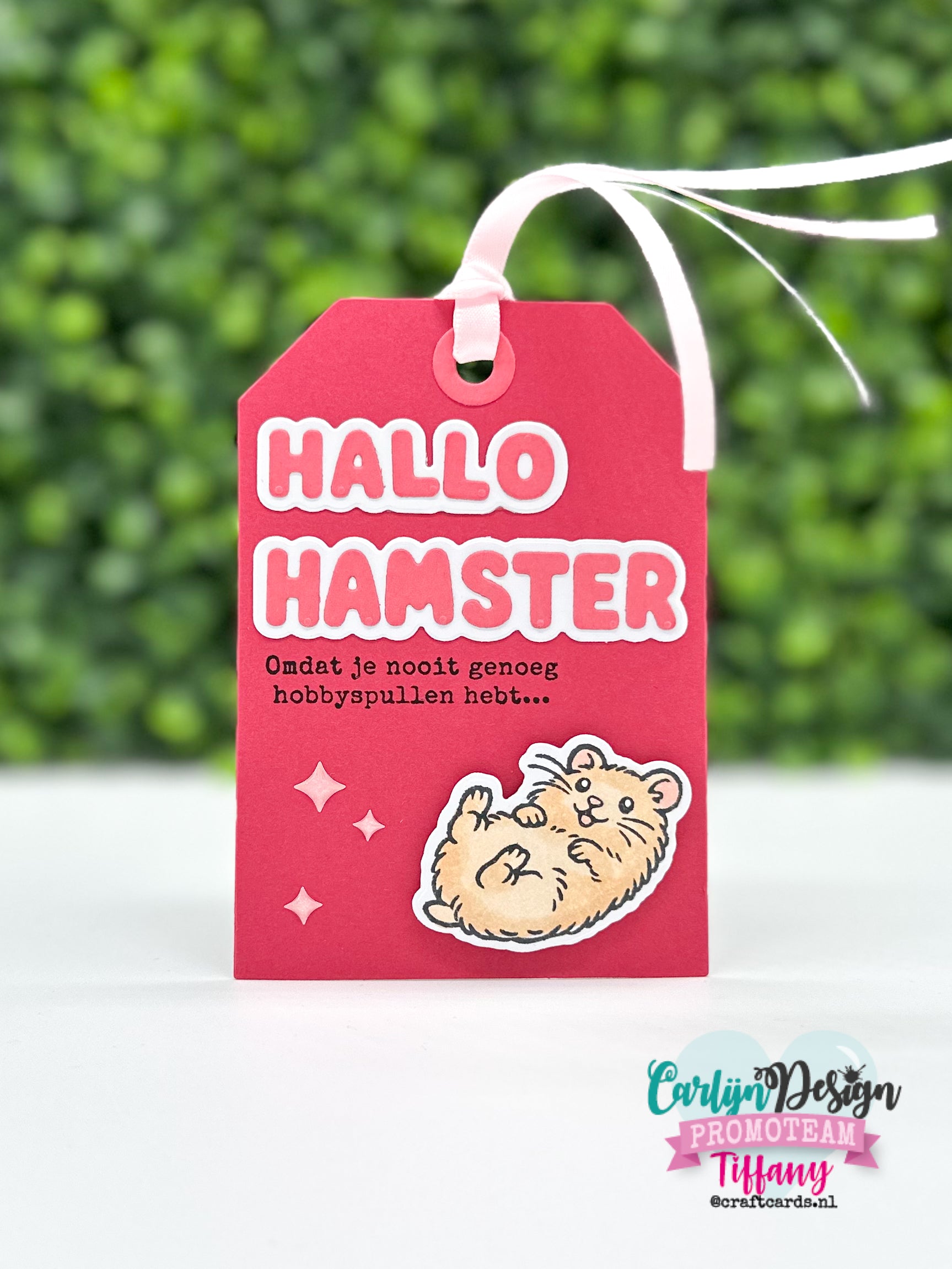 CarlijnDesign Hamsters CDSN-0397 dies hallo hamster