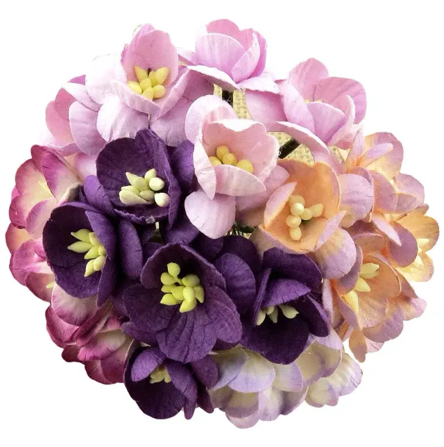 Korthobby Mulberry Paper kirsebærblomst lilla mix papirblomster