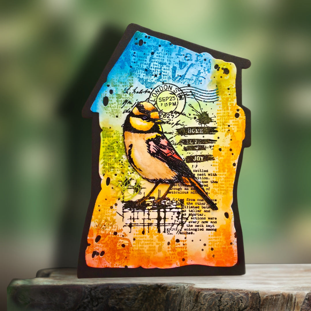 AALL & Create TP-1351 Hearted Tit stempelsett A7 fugl