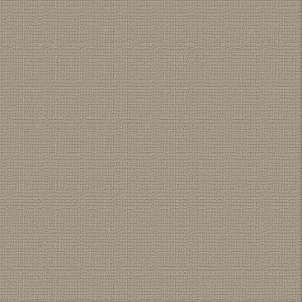 Couture Creations Silver Star kartong 12x12 10 ark sølv