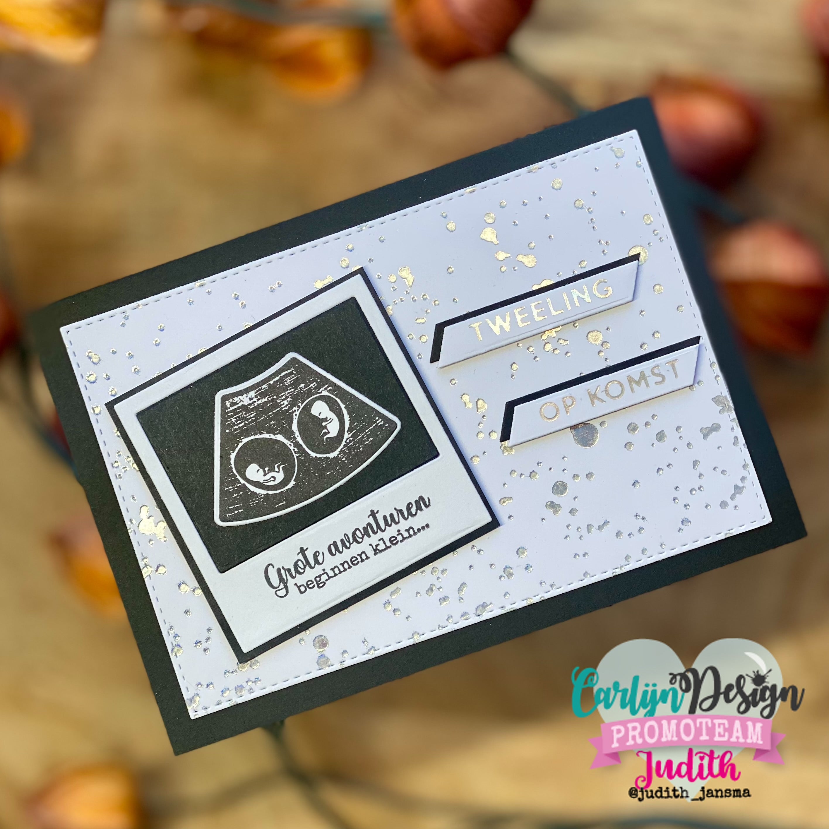 CarlijnDesign CDHF-0079 hot foil baby undertekster
