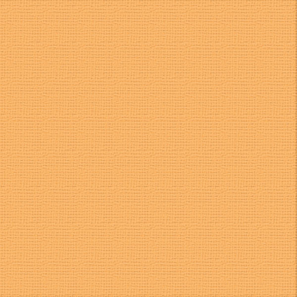 Couture Creations Lantana tekstkartong 12x12 10 ark hvit struktur