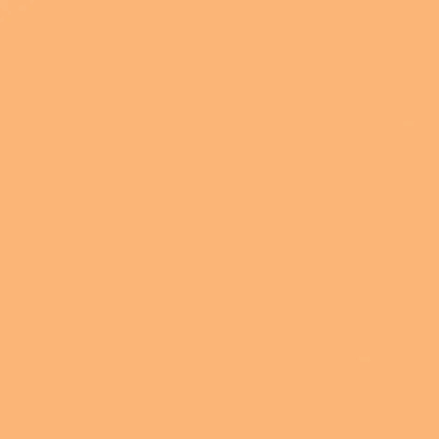 KaiserCraft Weave Apricot kartong 12x12 220 g 20 ark