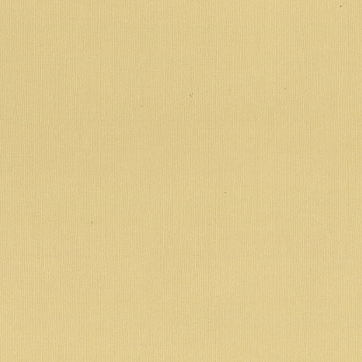 Couture Creations Oat strukturkartong 12x12 10 ark 216gsm