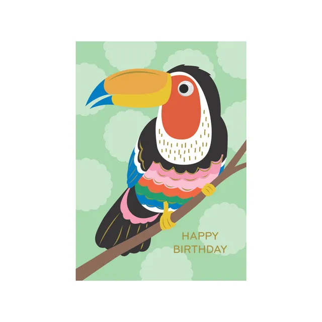 KaiserCraft Googly Friends Toucan gratulasjonskort barn