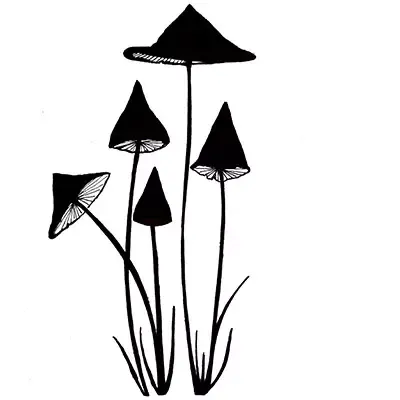 Korthobby Slender Mushrooms LAV151 ministempel sopp