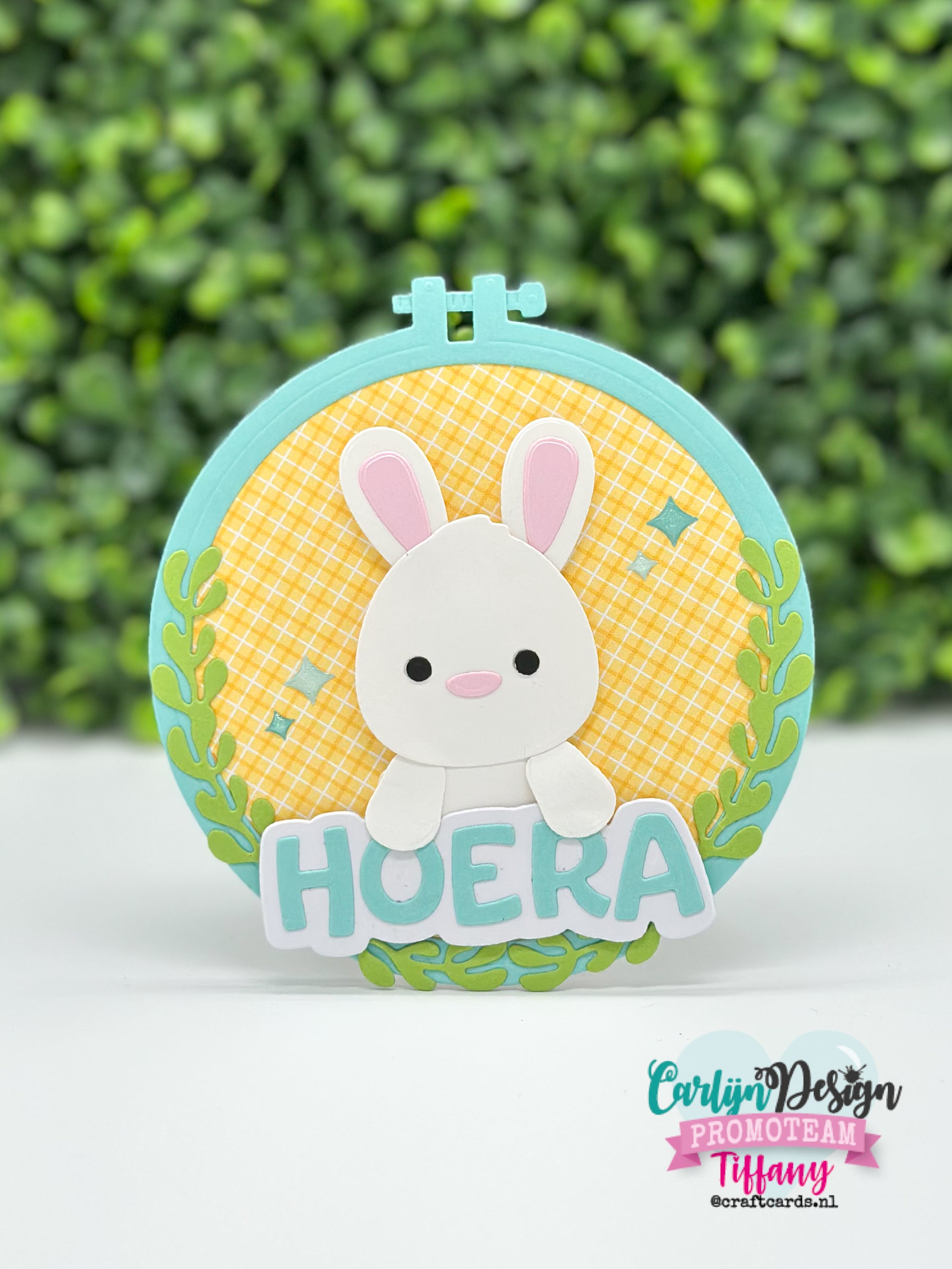 CarlijnDesign Embroidery Hoop CDJD-0073 dies 12 cm