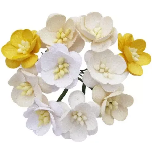 Korthobby morbærpapir kirsebærblomst hvit krem mix